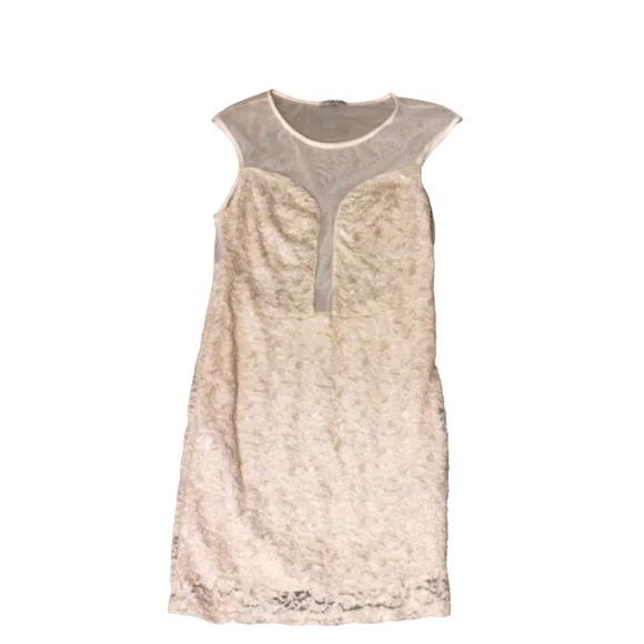 knee length dresses for ladies NEW Charlotte Russe Nude & White Lace Dress main image 0
